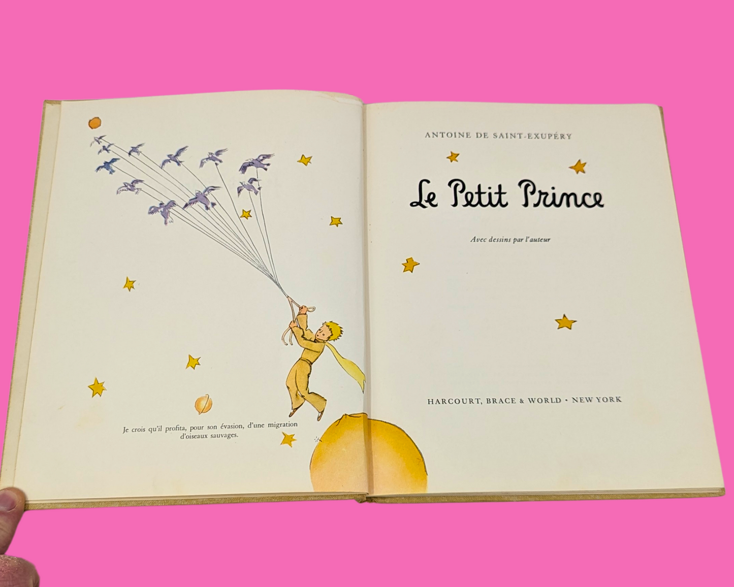 Le Petit Prince Book