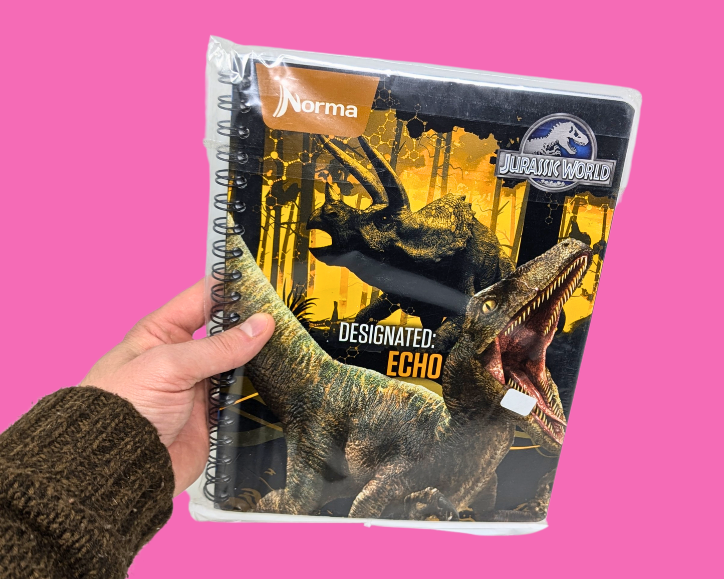 Jurassic World Notebook