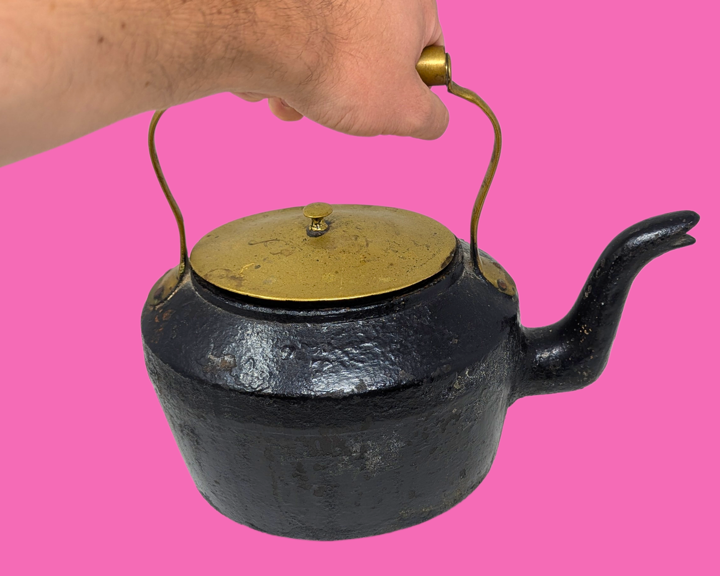 Antique 19th Century Large English Cast Iron and Brass Kettle