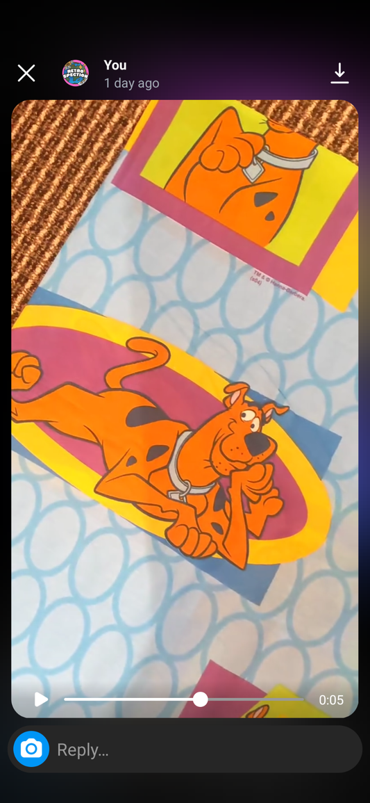 Custom Order for Chloé - Handmade, Upcycled Scooby Doo Fanny Pack