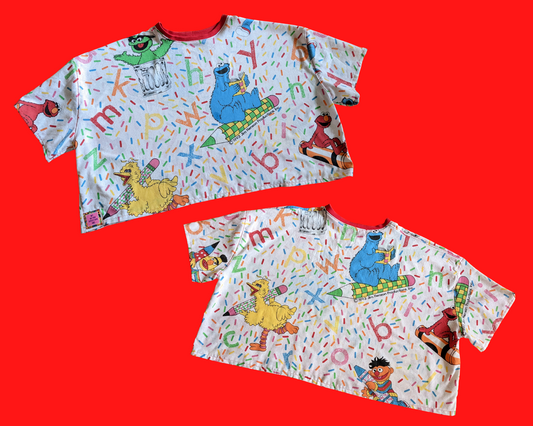 Fait à la main, Upcycled Vintage Sesame Street Bedsheet Crop Top Taille 2XL